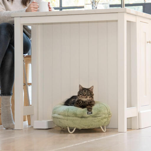 Cat in a kitchen, relaxing in the super soft mint green donut bed