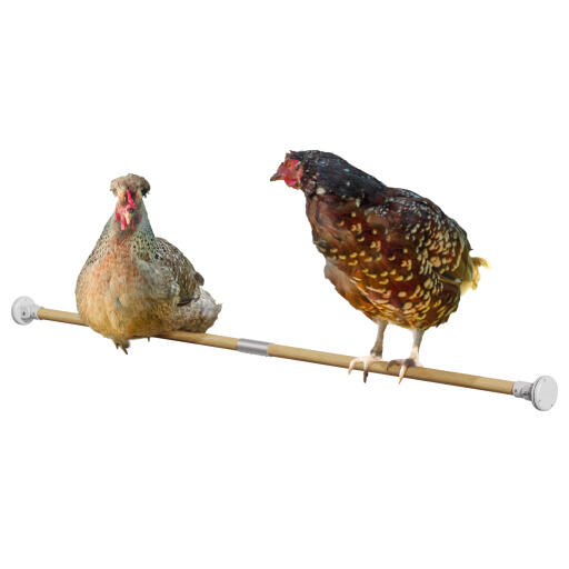 Double chicken perch