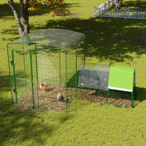 Clear chicken run cover for walk in run in a garden 2x2