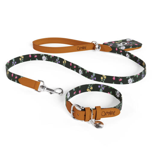 Designer dog supplies discount