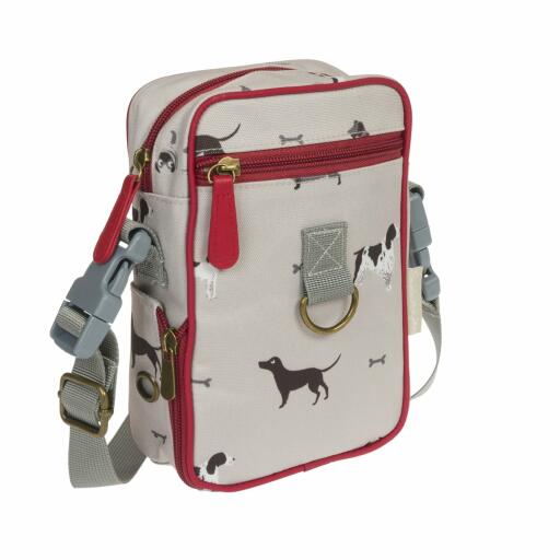Dog walking bag