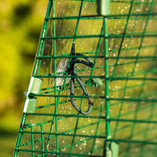 Detail of the Eglu Go up chicken coop with clear run cover