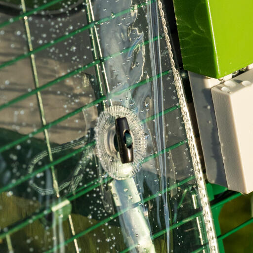 Detail of the Eglu Go up chicken coop with clear run cover