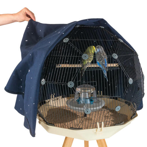 The beautiful Geo Bird Cage cover features a map of the stars on the inside