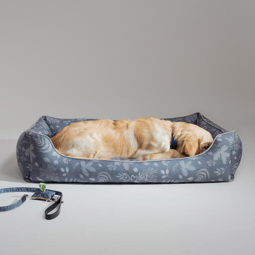 Golden retriever curled up in an Omlet nest bed in the forest fall pattern