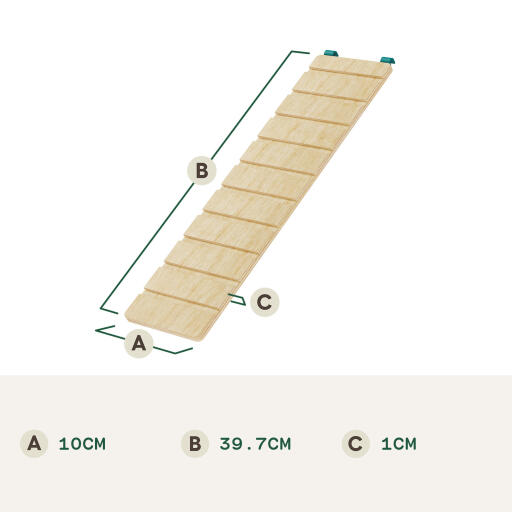 Hamster ramp dimensions (cm)