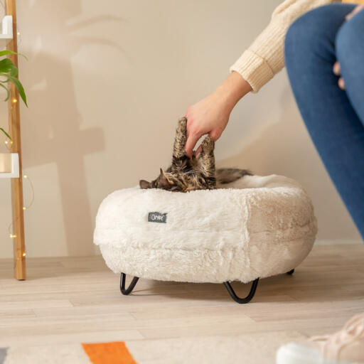 A woman stroking a cat which is on the Maya dobut cat bed.