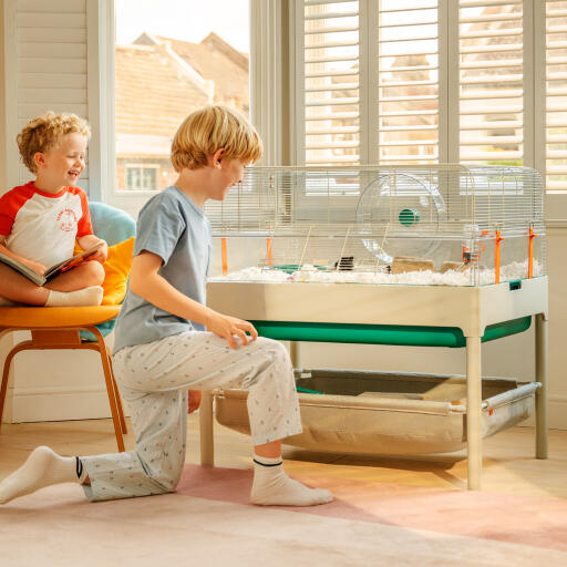 Two young boys watching their hamster in the spacious Omlet hamster cage