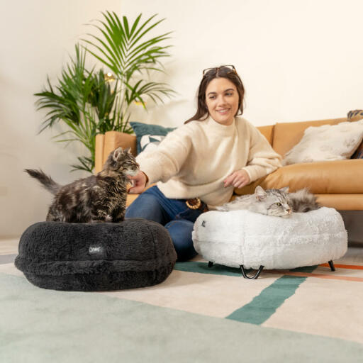 Cats lying on snowball white and earl grey super soft donut cat bed with designer feet.
