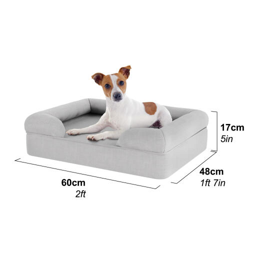 Jack Russell in a small dog bed