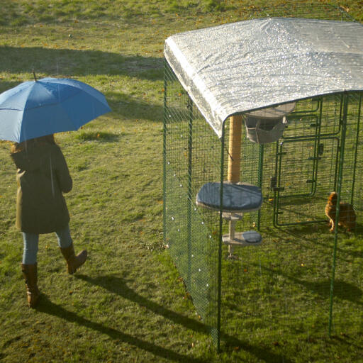 A cat in their catio with heavy duty cover in the rain