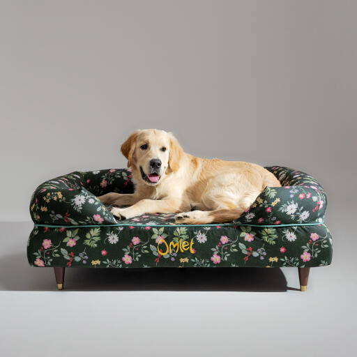 A Golden retriever resting in the midnight meadow bolster dog bed