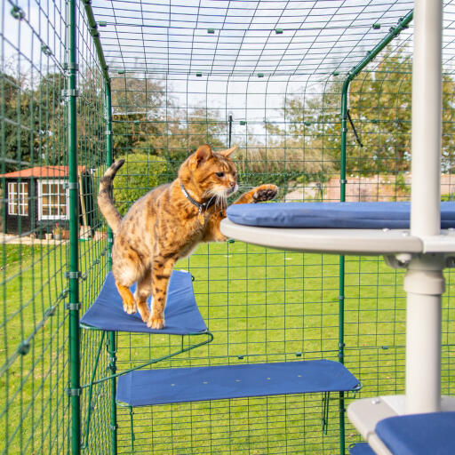 Outdoor new arrivals cat shelves