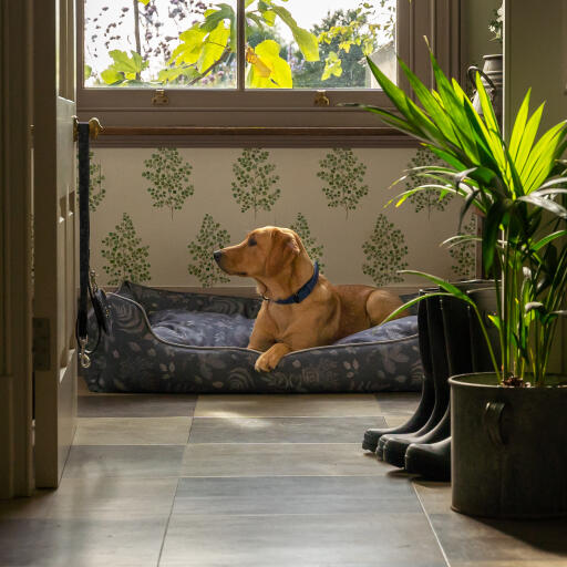 Retriever in an Omlet nest bed in the forest fall pattern