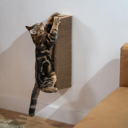 Cat scratcher sales wall