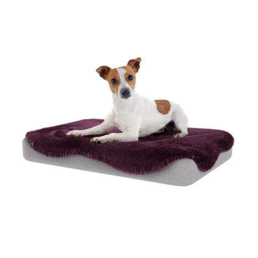 The beds come with all different toppers so you can choose one to suit your home.