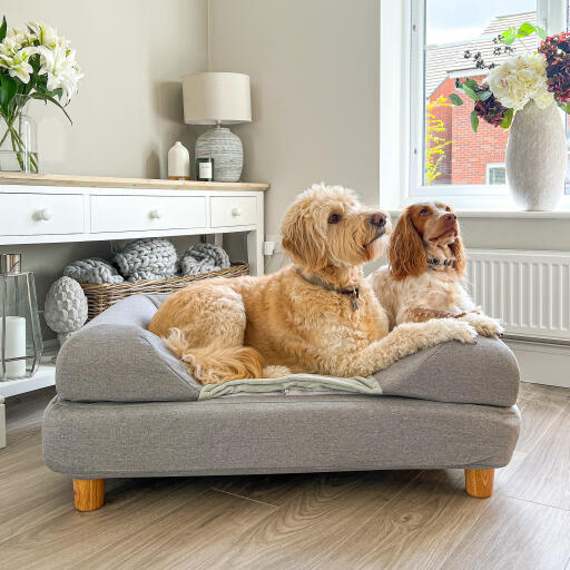 Topology dog bed with feet