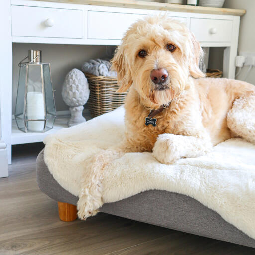 Sheepskin dog crate pads hot sale