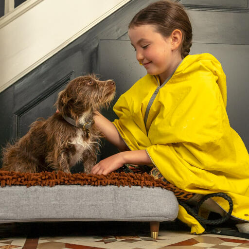 Microfiber new arrivals dog bed