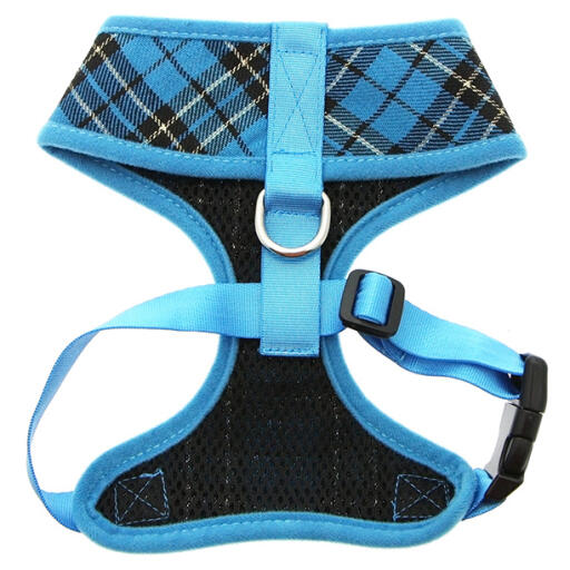 Urban pup blue tartan harness & lead set