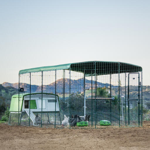 Chicken perch for poultry run
