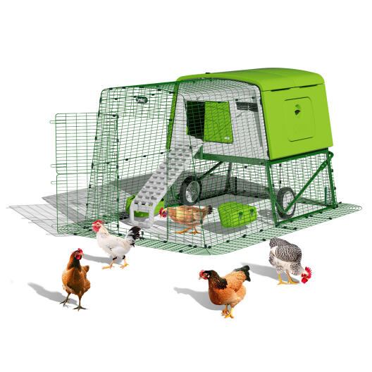 Eglu Cube large portable chicken coop