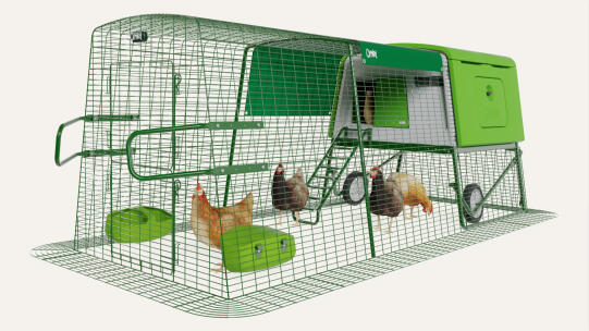 Chicken Coops