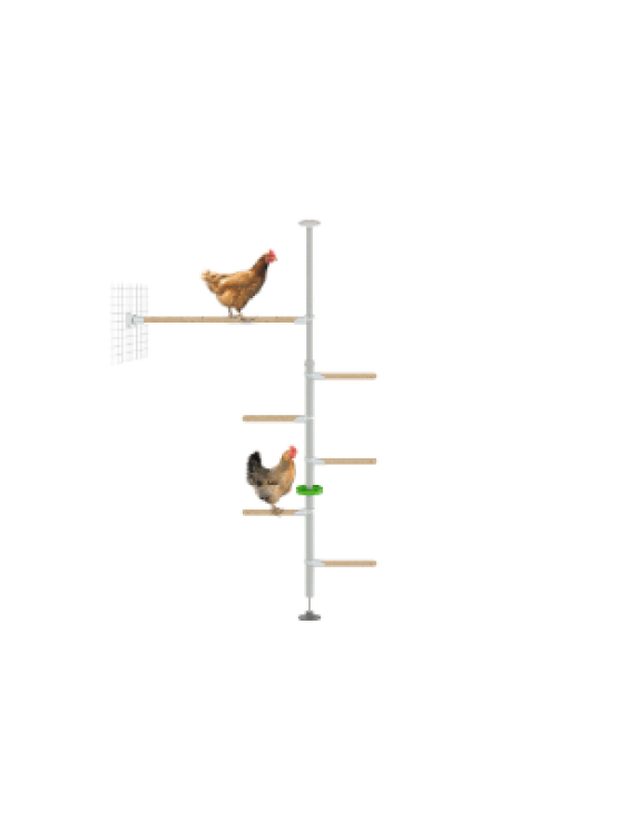 PoleTree Chicken Perch - The Hendurance Kit - 1.70 - 2.15m