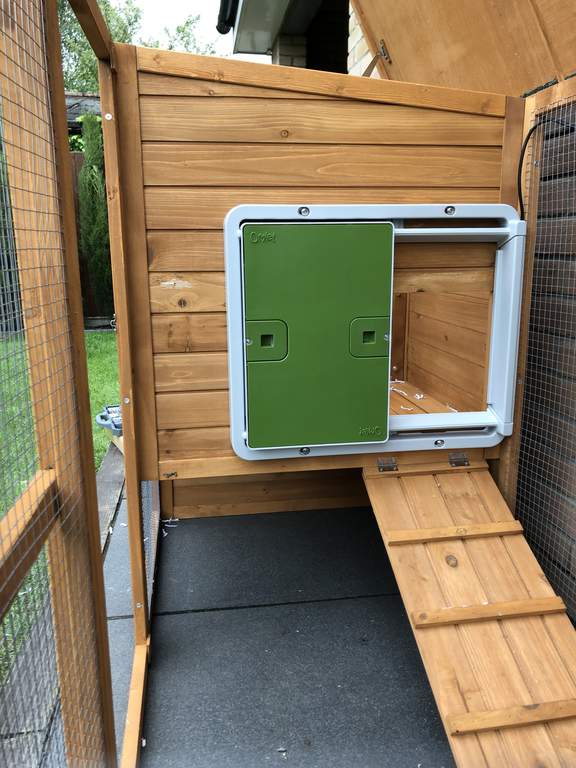 Automatic Chicken Coop Door Green Christmas Gift Accessories