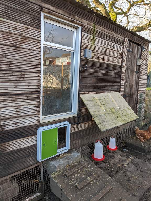 Automatic Chicken Coop Door - Green This Week s 