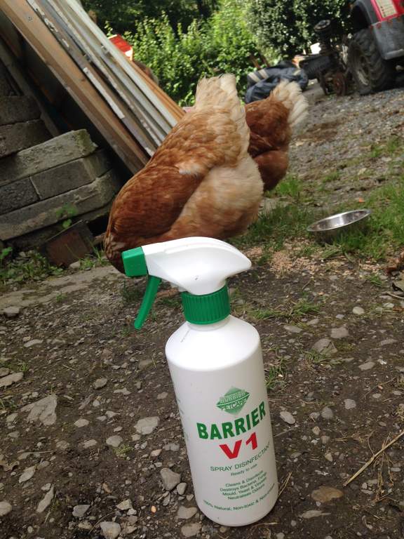 Barrier V1 Spray Disinfectant Rabbit Accessories Rabbit Hutches