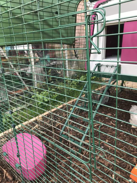 Heavy Duty Spring Latch Bolt 12 Pin Shed Barn Chicken Coop Black Powder Coat