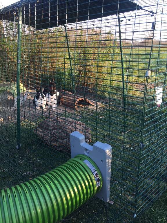 Zippi Tunnel Single with Hutch to Run Connection Kit Zippi Rabbit