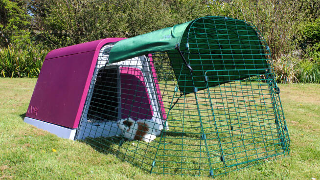 Eglu Go Guinea Pig Hutch