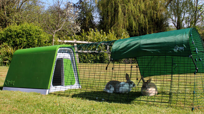 Eglu Go Rabbit Hutch Eglu Go Rabbit Hutch