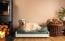 A large white dog on a medium green memory foam bolster bed in a living room