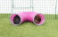 Rabbits in Zippi play tunnel