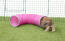 Rabbit Going in Zippi play tunnel