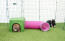 Rabbit in green Zippi shelter and play tunnel