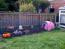 Pink Eglu Classic chicken coop with extension by karen