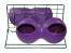 Feeder stand with purple glug and grug feeder and drinker attached