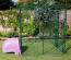 The Eglu Classic attached to a walk in chicken run using a connection kit