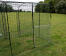 A clear cover for a walk in chicken run