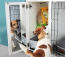 The Fido Studio mirror lets your dogs reflect on their day!