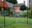 Inside chicken walk in run in the garden with a clear cover