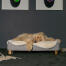 Dog laying on Omlet Topology dog bed with sheepskin topper and Gold rail feet