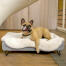 Dog laying on Omlet Topology dog bed with sheepskin topper and round wooden feet