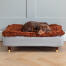 Dachshund sleeping on Topology dog bed with microfiber topper and brass capped wooden feet