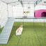Omlet Zippi rabbit playpen with Zippi platforms, purple Zippi shelter, Caddi treat holder and rabbits