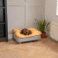 Dachshund laying down on Omlet Topology dog bed with beanbag topper and square wooden feet